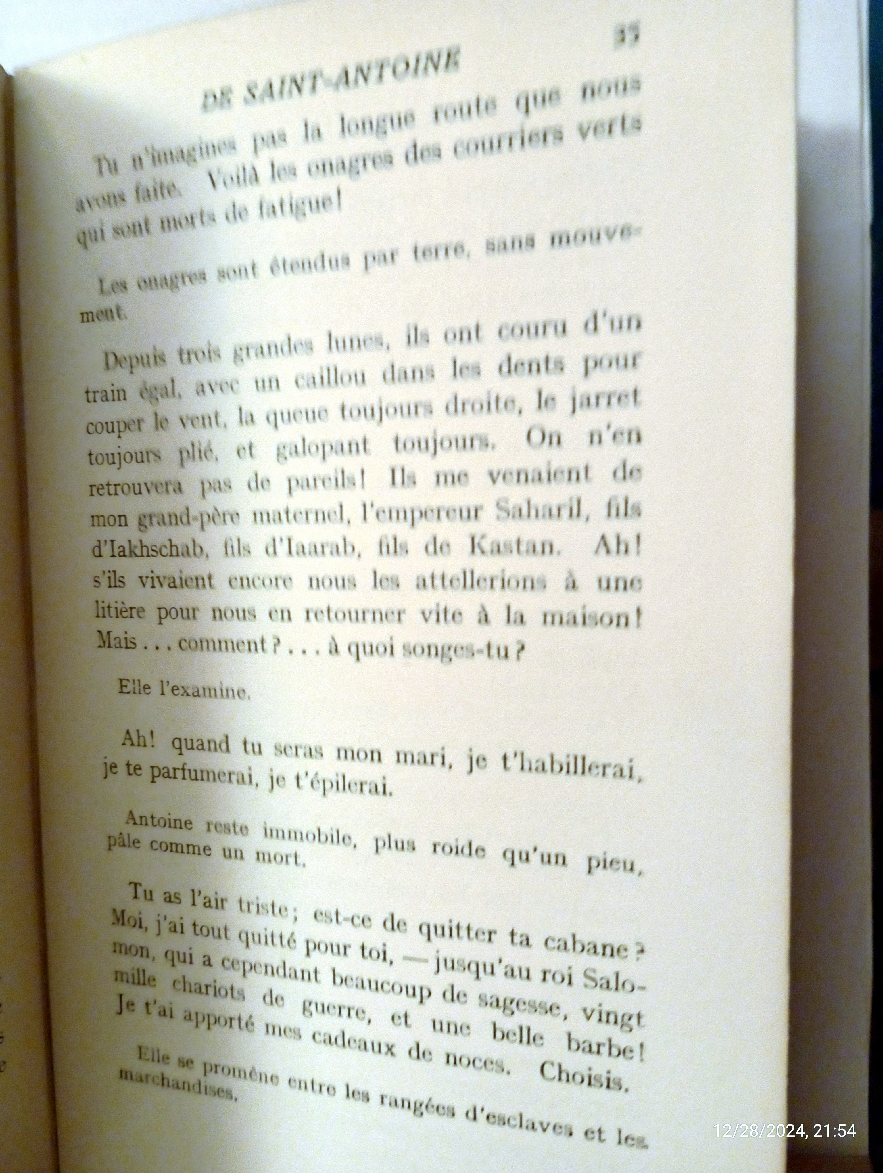 La Tentation de Saint-Antoine (Gustave Flaubert) c1925
