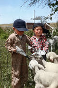 Restored farm photo